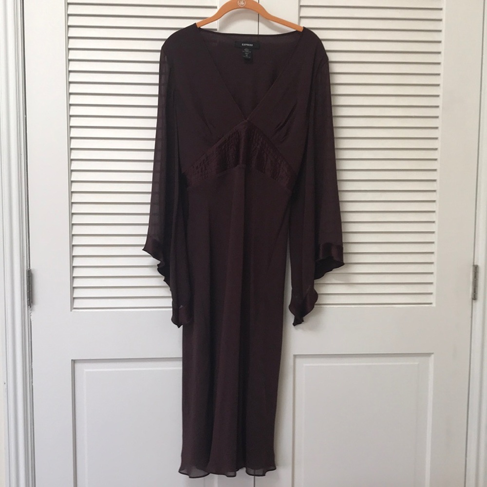 Express silk stunning v neck dress size 12